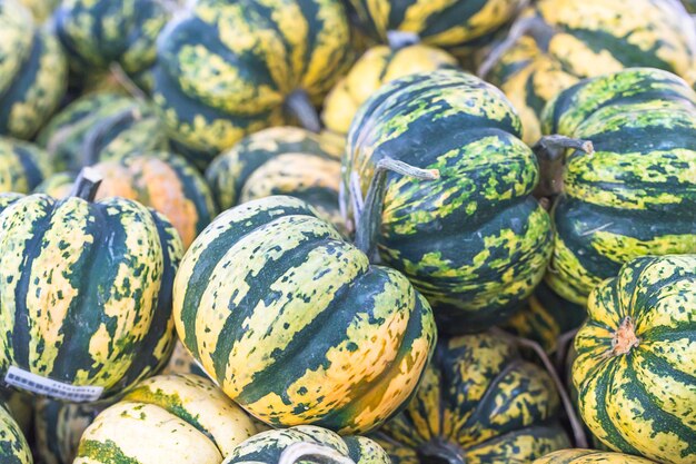 Foto un ramo de calabazas verdes para la venta