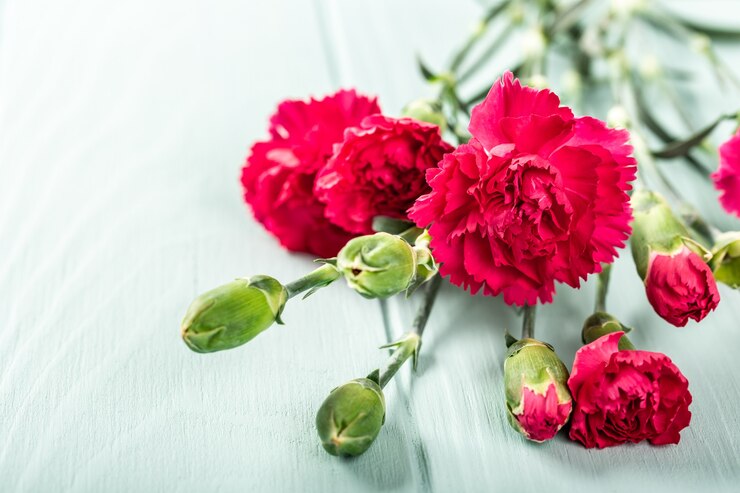 Ramo de clavel rosa sobre superficie de madera de color turquesa claro. Tarjeta de felicitación con espacio de copia