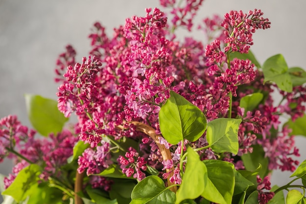 Ramo de coloridas flores lilas