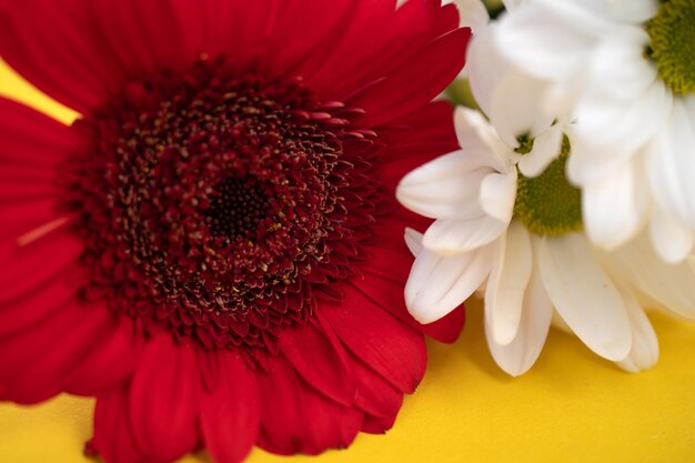 Ramo con crisantemos y flores de gerbera en una foto macro de fondo amarillo