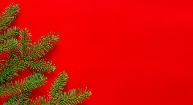 Ramo de abeto de composição de feriados de Natal em fundo vermelho com espaço de cópia