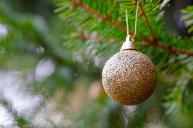 Ramo de abeto verde com close-up de brinquedo dourado brilhante de Natal