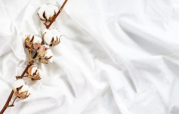 Ramo de algodão da flor da planta em tecido de algodão branco amassado. roupa de cama de algodão. fundo claro aconchegante minimalista.