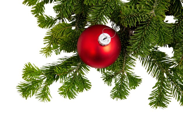 Ramo de árvore de Natal e bauble vermelho isolado em decoração branca de Natal