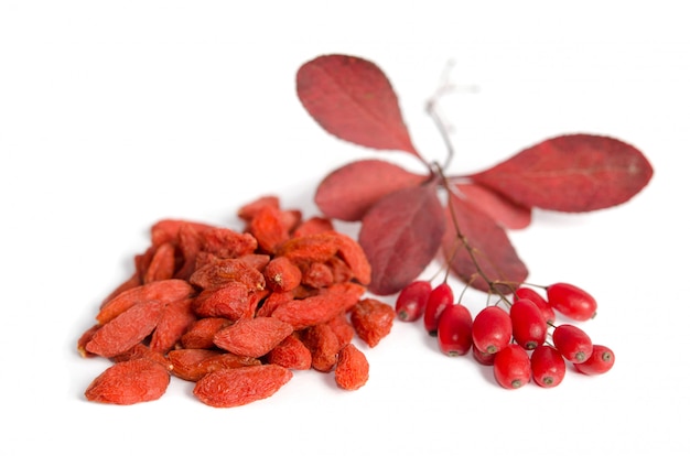 Ramo de bérberis vermelhas maduras e bagas de goji secas, isoladas no espaço em branco