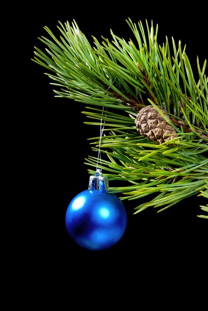 Ramo de coníferas em fundo escuro com cristmas de brinquedo