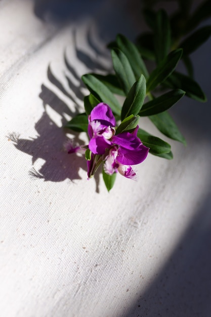 Ramo de flor de arbusto violeta estética inspiradora da moda 2021 em fundo bege de algodão, sombras de galho