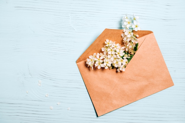 Ramo de flor de cerejeira de pássaro em envelope na mesa de madeira azul