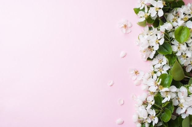 Ramo de floração de primavera em rosa