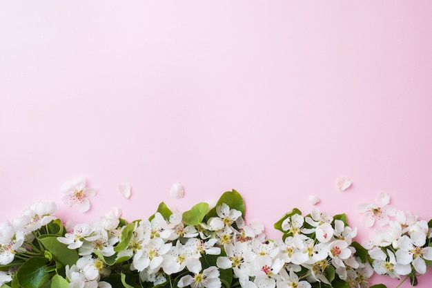 Ramo de floração de primavera em rosa