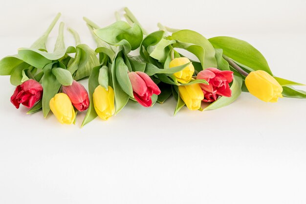 Ramo de flores de tulipas vermelhas e amarelas espalhadas na superfície branca do conceito floral da primavera