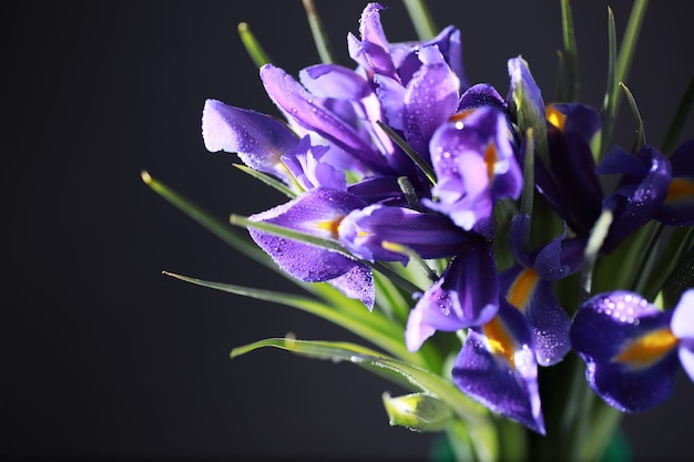 Ramo de flores frescas. Presente de feriado para seu ente querido. Dia de São Valentim de fundo. Arranjo de flores de rosa, tulipa, íris.