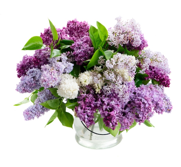 Ramo de flores lilases frescas isolado