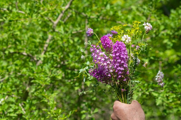 Ramo de flores silvestres em mãos