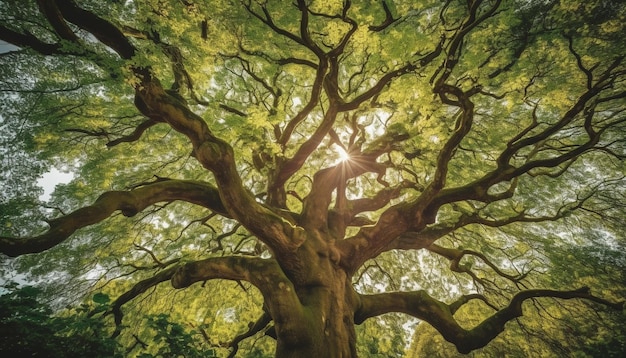 Ramo de floresta iluminado pelo sol com folhas vibrantes um padrão abstrato da natureza gerado pela IA