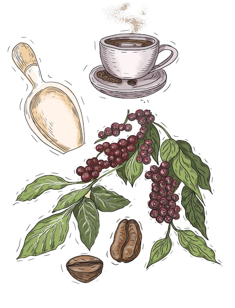 Ramo de grãos de café com folhas desenhado à mão cappuccino manhã Americano xícara azulejos aquarela italiana
