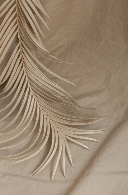 Ramo de palmeira seca em elementos de decoração bege de fundo de tecido