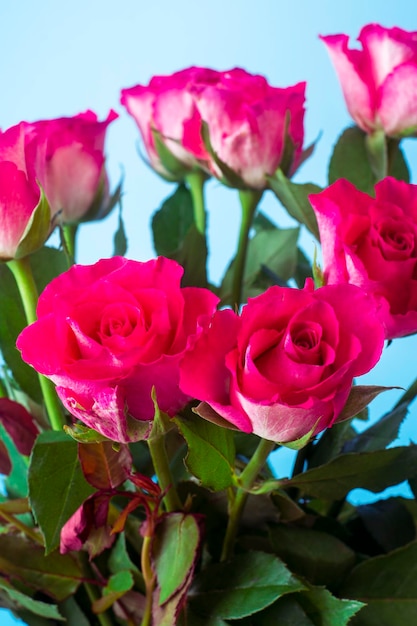 Ramo de rosas frescas com fundo floral