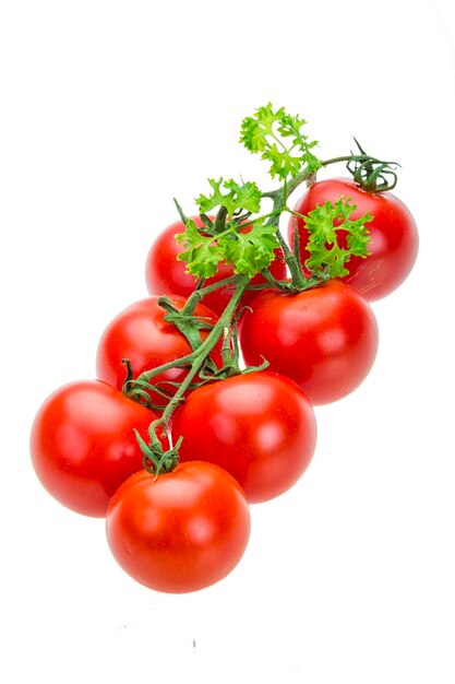 Ramo de tomate com salsa