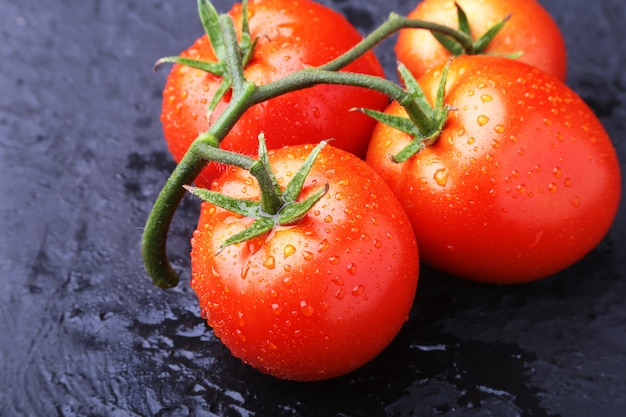 Ramo de tomate com tomates vermelhos muito frescos e deliciosos