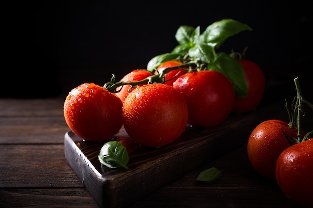 Ramo de tomates naturais maduros e folhas de manjericão