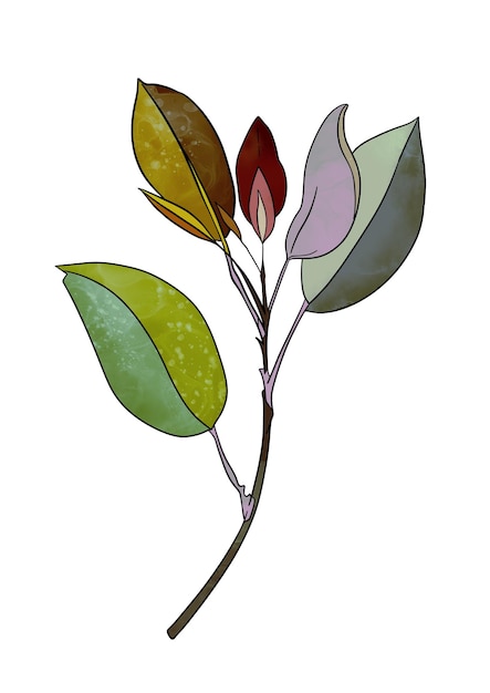 Foto ramo deixa verde ecológico em estilo aquarela sobre folhas de fundo branco em um galho para decorar o