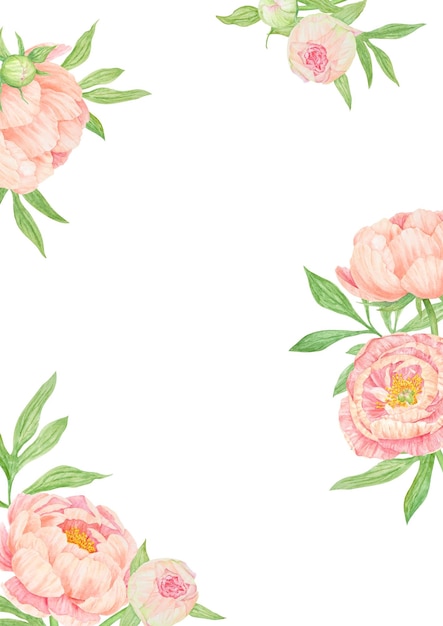 Ramo dibujado a mano con un ramo de peach peony ilustración realista del símbolo nacional chino