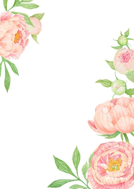 Ramo dibujado a mano con un ramo de peach peony ilustración realista del símbolo nacional chino