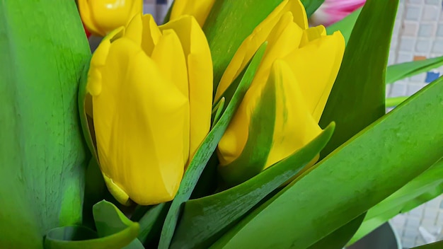 Ramo de diferentes flores en jarrón Día de la Madre Día de la Mujer Día de los Enamorados o Cumpleaños