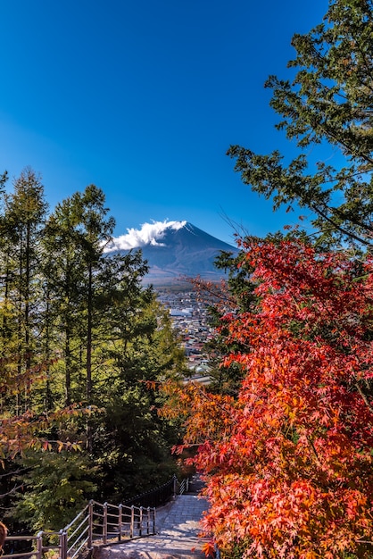 ramo e Monte Fuji vista do pagode vermelho no Japão