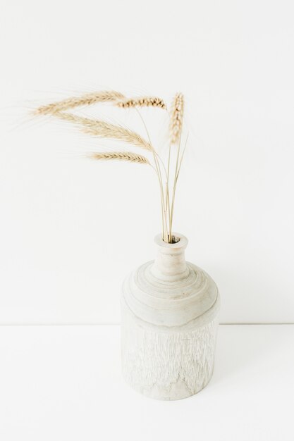 Ramo de espigas de trigo en florero de madera en blanco. Composición floral mínima.