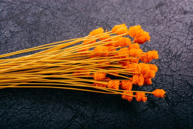 Ramo de flor de color naranja seca en un fondo oscuro