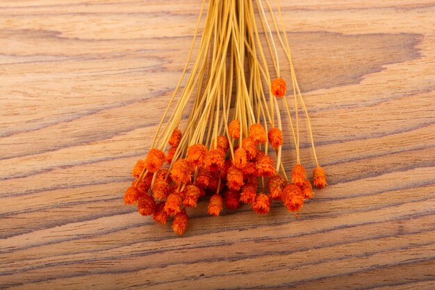 Ramo de flor de color naranja seca sobre un fondo de madera