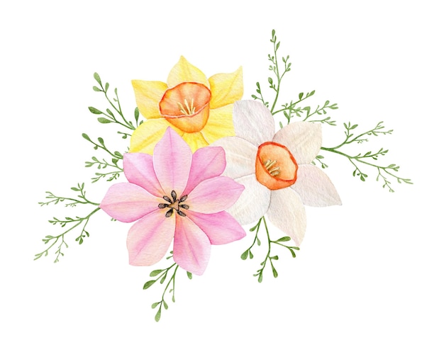 Ramo floral Acuarela rosa tulipán amarillo y blanco narcisos ornamento Dibujado a mano primavera ilustración Elementos de diseño decorativo