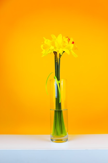 Un ramo de flores amarillas en un jarrón de vidrio se encuentra sobre una mesa sobre un fondo amarillo, foto vertical