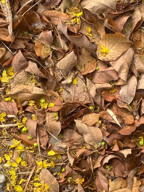 Un ramo de flores amarillas en el suelo.