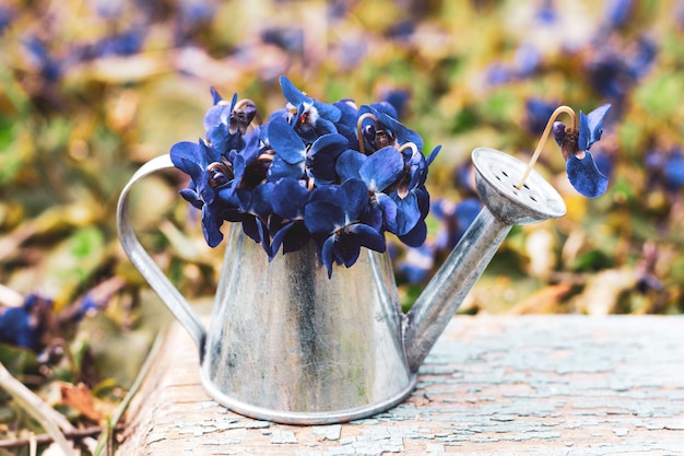 Un ramo de flores azules del bosque en una lata de riego