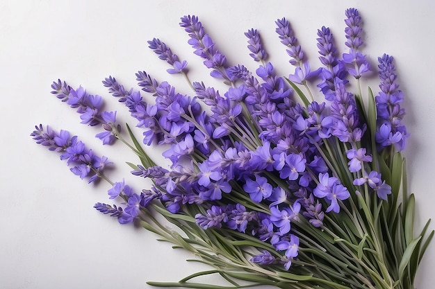 Un ramo de flores azules de lavanda en una vista superior de fondo claro