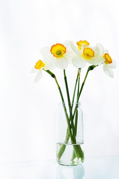 Un ramo de flores blancas de narciso se encuentra en un frasco de agua sobre una mesa