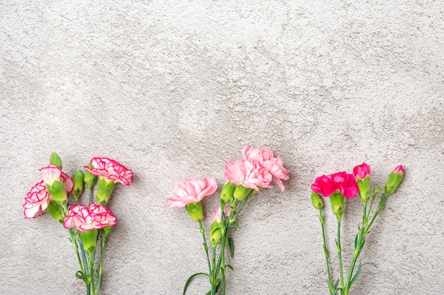 Ramo de flores de clavel rosa sobre fondo de hormigón gris