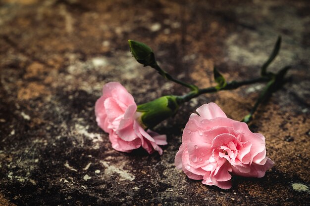 Ramo de flores de claveles rosas.