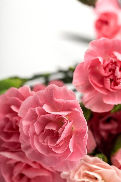 Foto ramo de flores de claveles rosas.