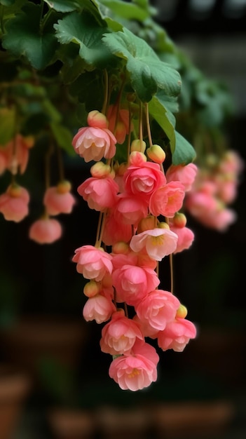 Un ramo de flores colgando de una vid