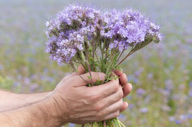 Un ramo de flores de color púrpura en las manos de los hombres