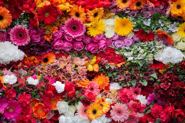 Foto ramo de flores de colores