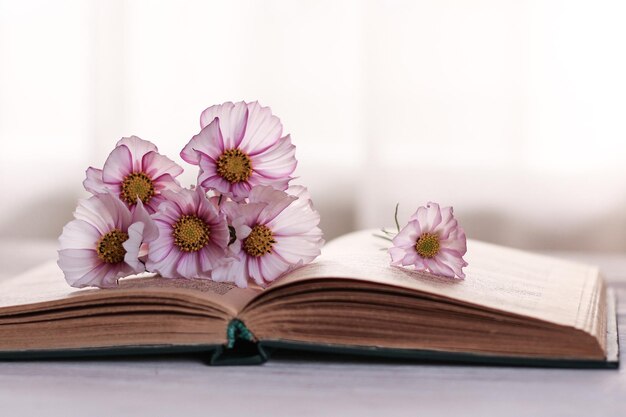 Un ramo de flores delicadas se encuentra en un libro abierto