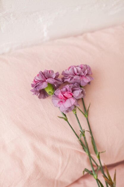 Foto ramo de flores esponjosas de dianthus violeta en el fondo de lino rosa