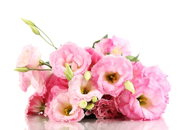 Ramo de flores de eustoma aislado en blanco