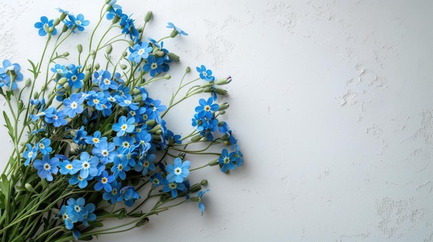 Un ramo de flores forgetmenot se encuentra a la izquierda sobre un fondo minimalista blanco