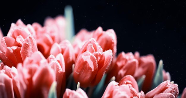 Ramo de flores frescas. Regalo navideño para su ser querido. Antecedentes el día de San Valentín. Rosa, tulipán, arreglo floral de iris.